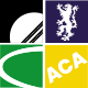 Adnan Cricket Academy Logo